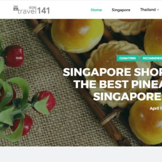 Screen grab of the Travel141 Website Blogpage - Web Design & Development