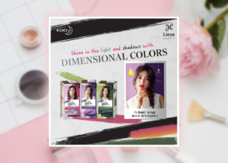 kao-liese-influencers-marketing-malaysia