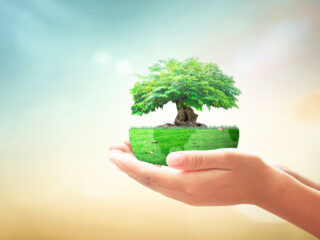 Go,Green,Home,Service,Concept:,Human,Hands,Holding,Earth,Globe